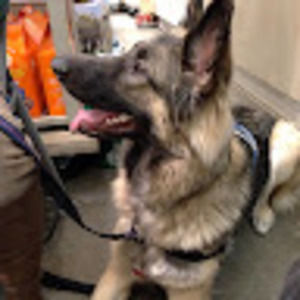 Meet your Posher, Ivette